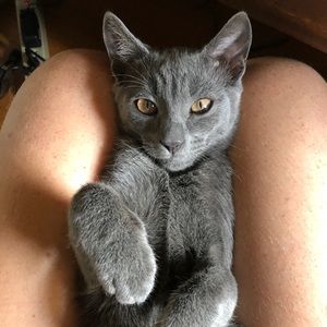 Meet your Posher, Kelly